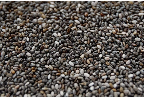 Κία (Chia) Salvia Hispanica - 100gr