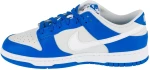 Nike Dunk Low FN3416-001