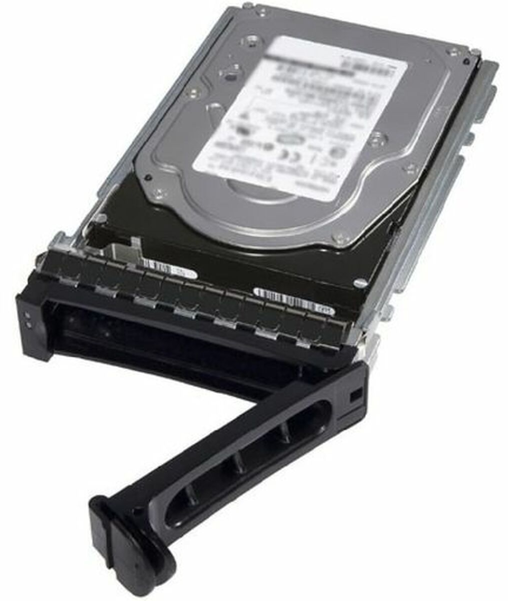 Σκληρός δίσκος Dell 400-BRDL 3,5" 12 TB