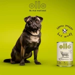 Υγρό φαγητό Ollo