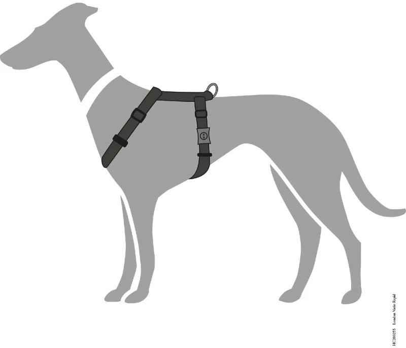 Σαμαράκι Σκύλου Hunter Harness London Vario Rapid M 2,5x58-101cm Μαύρο