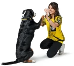 Περιλαίμιο Σκύλου Hunter Collar Neopren Reflect 65 L 4,5x54-61cm Borussia Dortmund