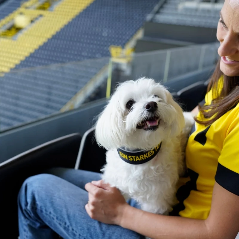 Περιλαίμιο Σκύλου Hunter Collar Neopren Reflect 65 L 4,5x54-61cm Borussia Dortmund