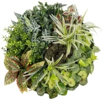 Συνθετικό Διακοσμητικό Πάνελ Φυλλωσιάς Various Plants 20691 60x20x60cm Multi-Green GloboStar 60Χ60