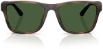 POLO RALPH LAUREN PH4229U 6070/71