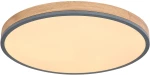 Φωτιστικό Οροφής Globo Lighting DORO 416080WD4R-CCT 2700 - 6500K