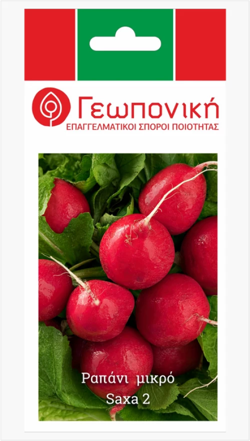 Ραπάνι Μεγάλο Saxa 2 | 25gr