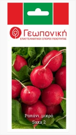 Ραπάνι Μεγάλο Saxa 2 | 25gr