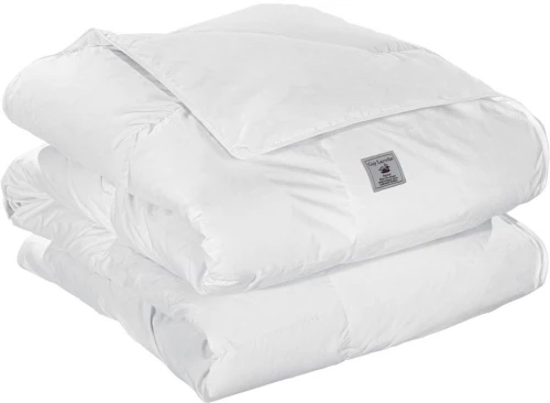Πάπλωμα Πουπουλένιο Normal White Guy Laroche Queen Size 220x240cm Πούπουλο-Φτερό