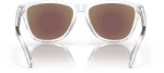 OAKLEY FROGSKINS OO9013-D0