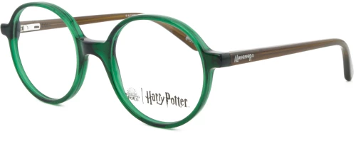 HARRY POTTER HP002 Gm