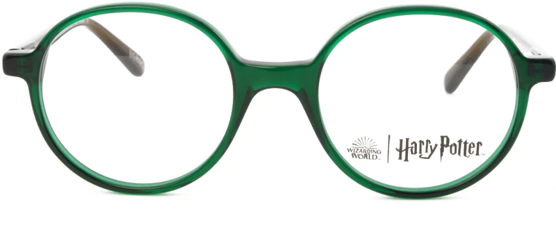 HARRY POTTER HP002 Gm