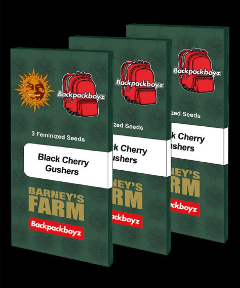 Barneys Farm Black Cherry Gushers
