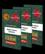 Barneys Farm Black Cherry Gushers