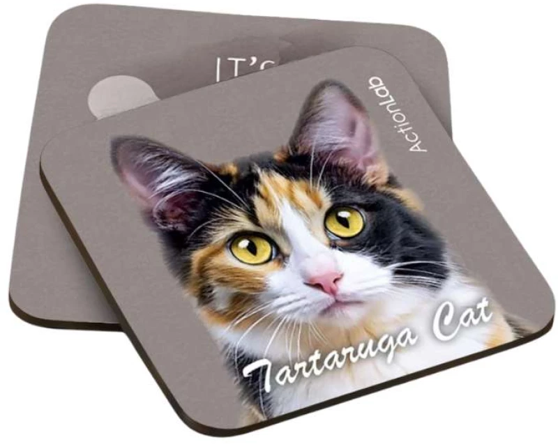 Action Lab Souver Tartarouga Cat 2pcs