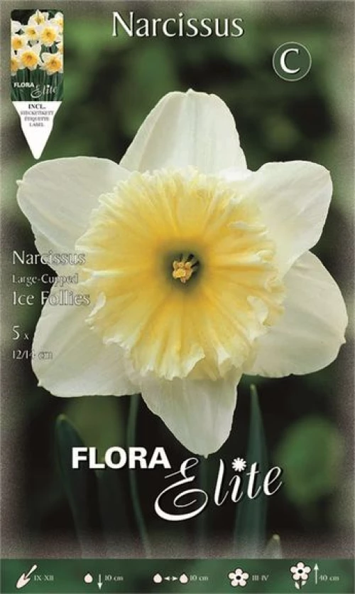 Νάρκισσος "Ice Follies"