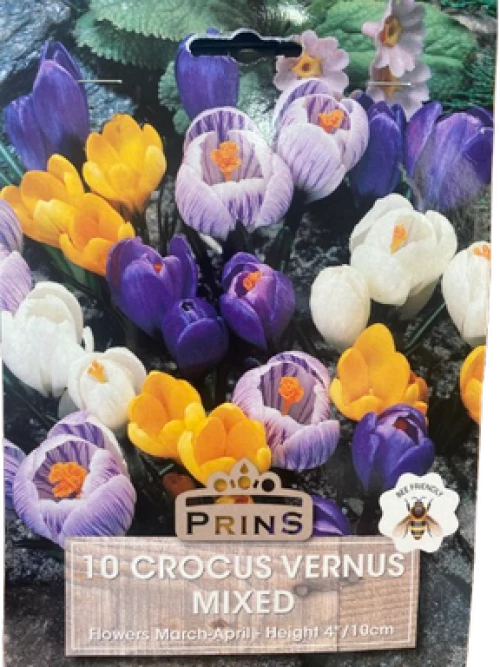 Κρόκος Vernus Μίγμα