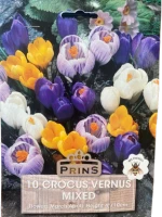 Κρόκος Vernus Μίγμα