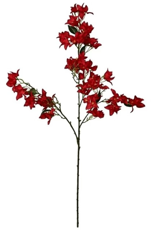 Κλαδί βουκαμβίλια κόκκινη 34x10x104cm