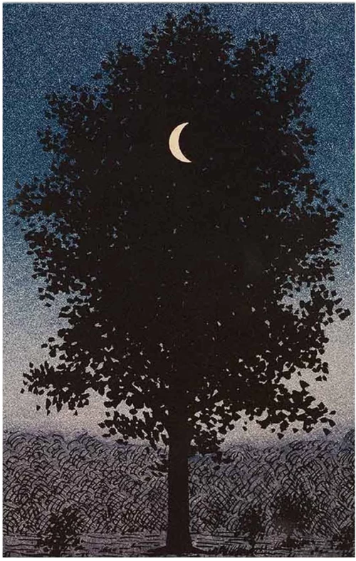 ΠΙΝΑΚΑΣ TOIXOY ΣΕΙΡΑ GOBI HM4850 ΕΚΤΥΠΩΜΕΝΟΣ ΚΑΜΒΑΣ 45x3(πάχος)x70Yεκ.