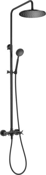 Rain shower with shower faucet