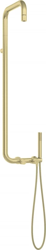 Shower head with shower mixer