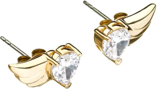 Γυναικεία Σκουλαρίκια Chiara Ferragni J19AVH07
