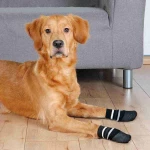 Κάλτσες Trixie Μαύρο XL Σκύλος