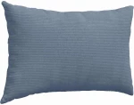 vidaXL Μαξιλάρι Καναπέ 2 pcs Μπλε 60 x 40 cm Υφασμάτινο Κορντουρά