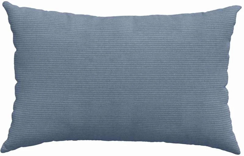 vidaXL Μαξιλάρι Καναπέ 2 pcs Μπλε 60 x 40 cm Υφασμάτινο Κορντουρά