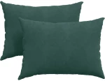 vidaXL Μαξιλάρι Καναπέ 2 pcs Σκούρο Πράσινο 70 x 50 cm