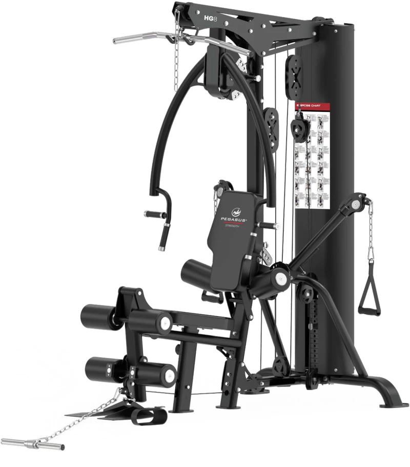 Πολυόργανο Pegasus® HG8 308878800