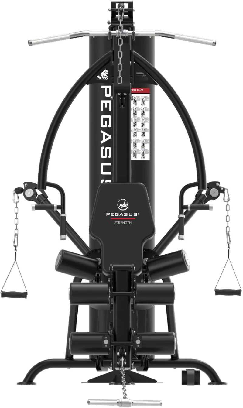 Πολυόργανο Pegasus® HG8 308878800
