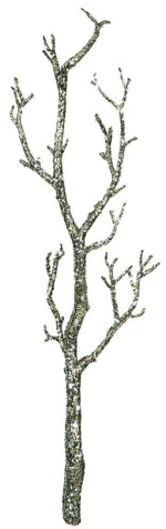Χριστουγεννιάτικο Κλαδί Με Glitter 606017 45cm Champagne