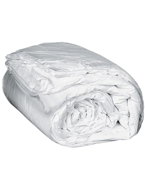 KENTIA GOOSE ΠΑΠΛΩΜΑ.ΜΟΝΟ (160X240) 60761