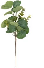 Beauty Home ΕΥΚΑΛΥΠΤΟΣ 35 CM