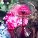 Winkee - Upside down Wine glass / Gadgets