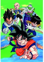 Dragon Ball Z puzzle 1000pcs