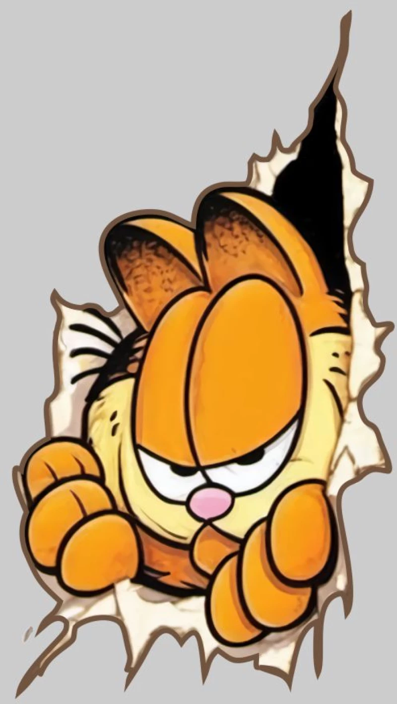 Garfield W T-Shirt - WHITE