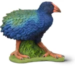 COLLECTA ΝΟΤΟΡΝΙΘΑ ΤΑΚΑΧΕ- 80041