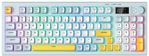 Gaming Keyboard ONIKUMA G80