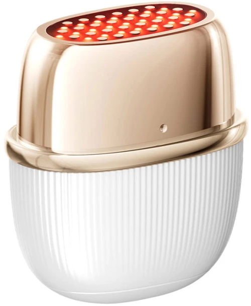 ANLAN 01-ADRY51-02A RF Lifting Facial Massager