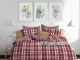 Σετ Σεντόνια Καρό Κόκκινο 100% Βαμβακερά Γαρύφαλλο - 240x260, 180x200+30