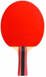 Ρακέτα Πινγκ Πονγκ Cornilleau Sport 433000