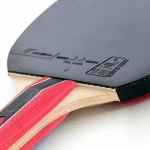 Ρακέτα Πινγκ Πονγκ Cornilleau Sport 433000