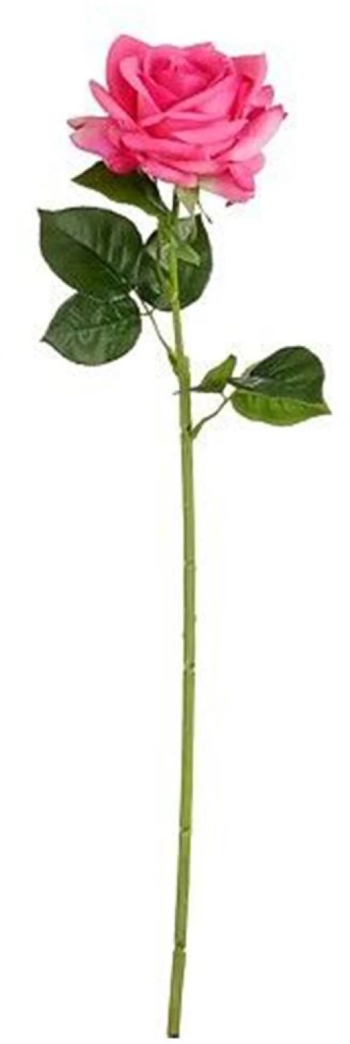 Κλαδί τριαντάφυλλο φούξια Η65cm
