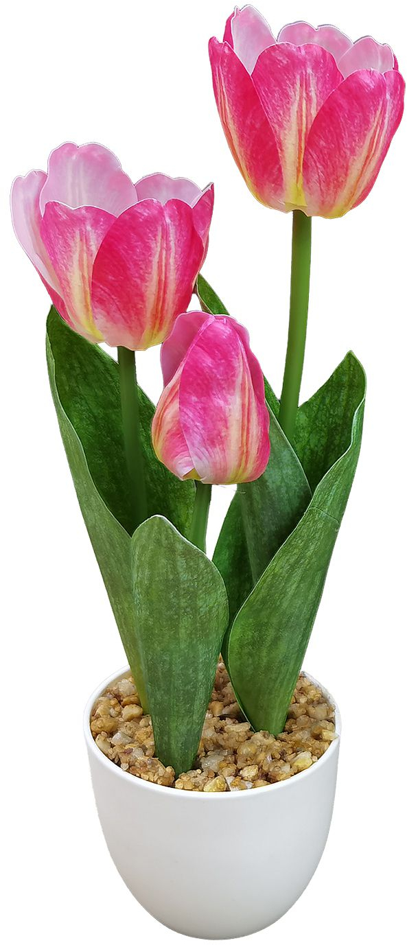 Γλαστράκι 3 Τουλίπες 34cm Homie 423123
