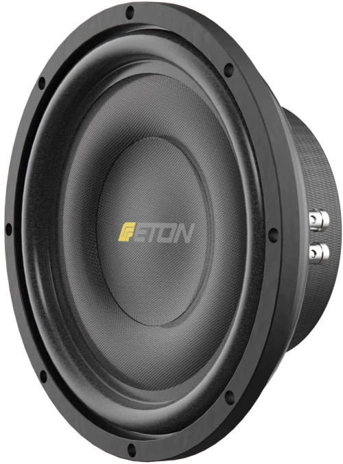 Eton Eton Subwoofer M10Flat