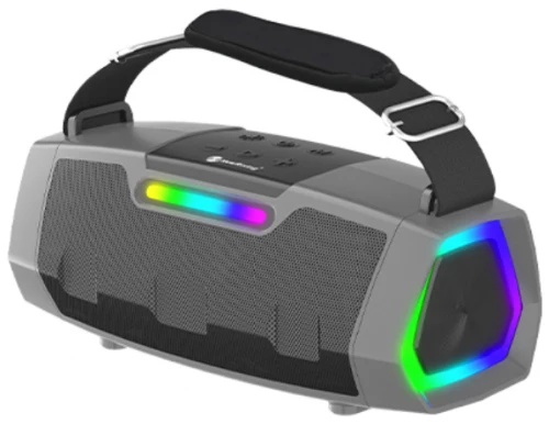 Ασύρματο Ηχείο Bluetooth με 2 Μικρόφωνα Karaoke  Silver