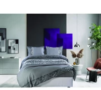 ΣΕΤ ΣΕΝΤ KING ΧΛ SNIK 2*260Χ270CM 2*50X70CM 100% COTTOSATIN 230TC - -